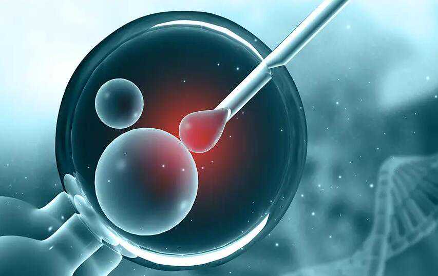 太原代生代孕招聘 太原供卵试管费用明细： ‘试管婴儿囊胚男孩的症状’